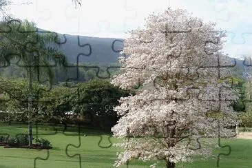 flores jigsaw puzzle