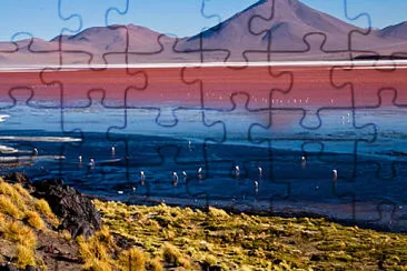 Argentina jigsaw puzzle