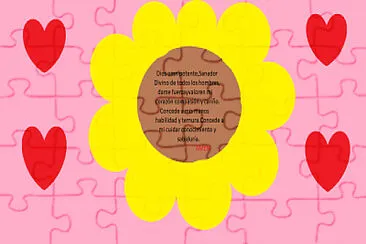16 piezas
