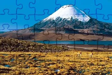 Argentina jigsaw puzzle