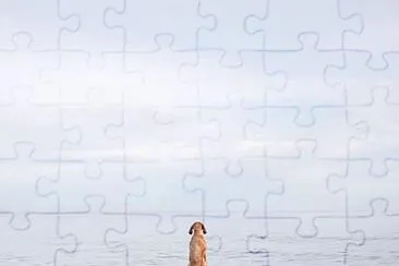 natural jigsaw puzzle