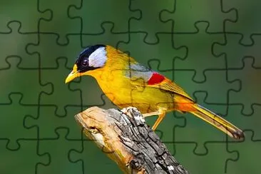 natural jigsaw puzzle