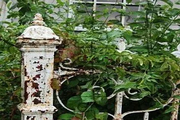 natural jigsaw puzzle