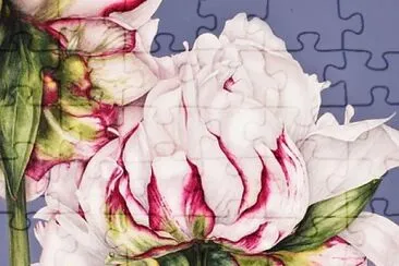 פאזל של flores