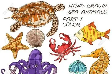 ACUATICOS jigsaw puzzle