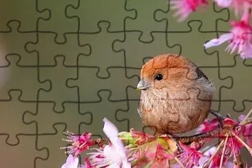 flores jigsaw puzzle