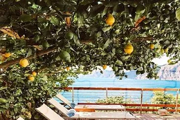 frutas
