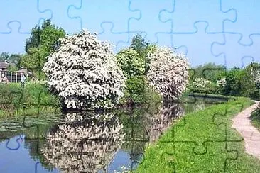 פאזל של Erewash Canal