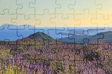 natureza jigsaw puzzle