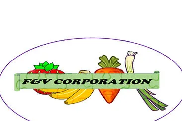 FyV Corporation