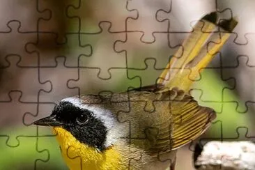 natural jigsaw puzzle
