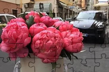 flores