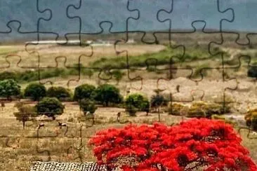 imagem jigsaw puzzle