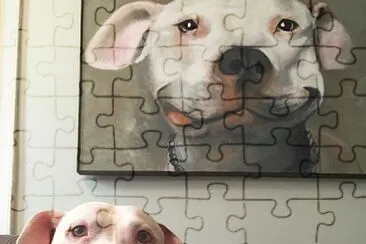 開心的狗狗 jigsaw puzzle