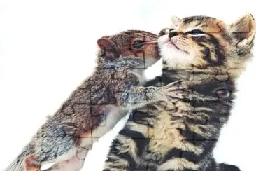 פאזל של 貓鼠親一下