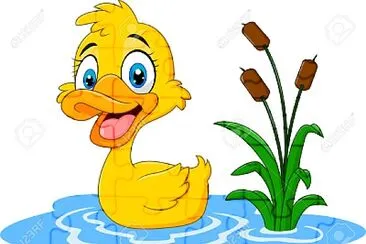 pato jigsaw puzzle