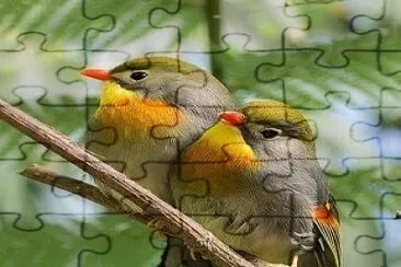 פאזל של natural