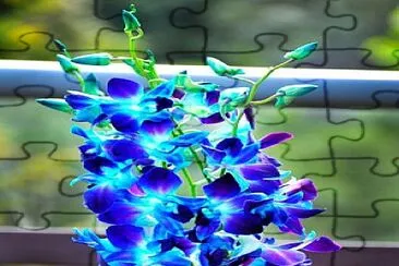 Electrified jigsaw puzzle