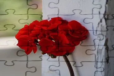 פאזל של flores