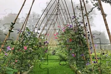 flores