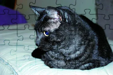 Asian jigsaw puzzle