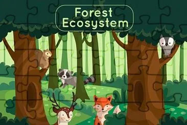 animales del bosque