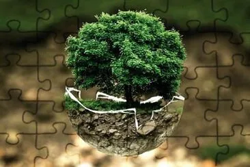Toy jigsaw puzzle