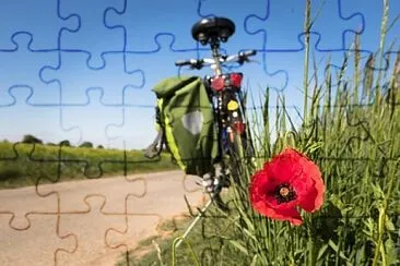 Toy jigsaw puzzle