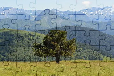 bobopetit jigsaw puzzle