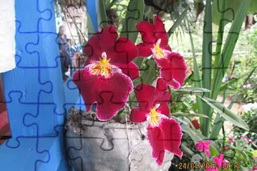 FLOWERS jigsaw puzzle