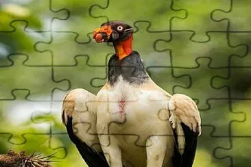 פאזל של natural
