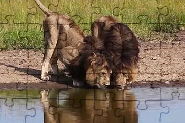 Nature jigsaw puzzle