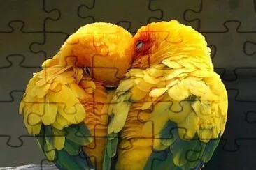 פאזל של love
