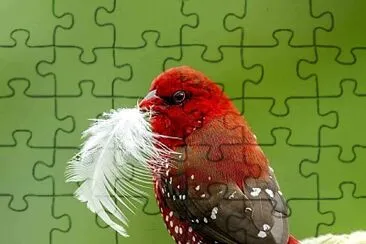 פאזל של natural