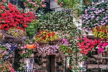 casa jardin