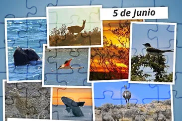 DÃ­a del Ambiente jigsaw puzzle