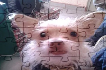 Naturaleza jigsaw puzzle