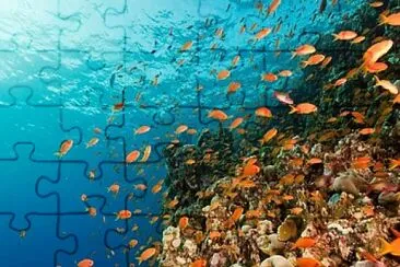 sea jigsaw puzzle