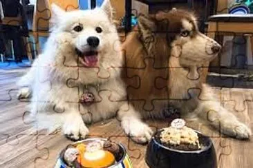 פאזל של å‹•ç‰©