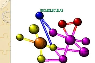 Biomoleculas