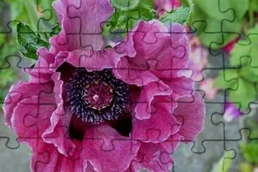imagem jigsaw puzzle