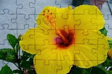 imagem jigsaw puzzle