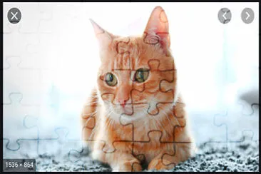 animal jigsaw puzzle