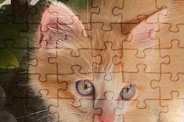 CENÃRIO K45 jigsaw puzzle