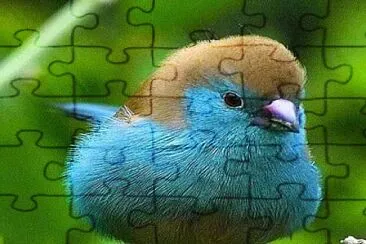 natural jigsaw puzzle