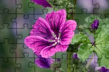 OK jigsaw puzzle