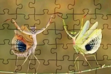 CENÃRIO K51 jigsaw puzzle