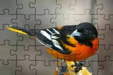 cores jigsaw puzzle