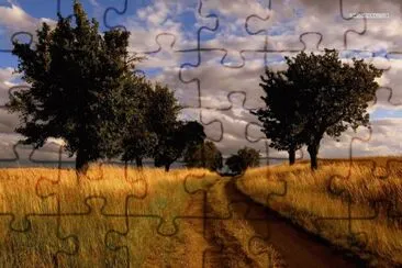  jigsaw puzzle