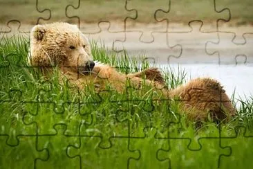 natural jigsaw puzzle